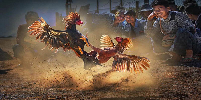 hot live đăng nhập roulette số 1