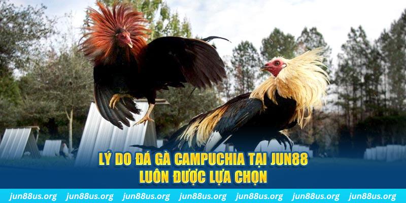 hot live tài xỉu nổ hũ là gì