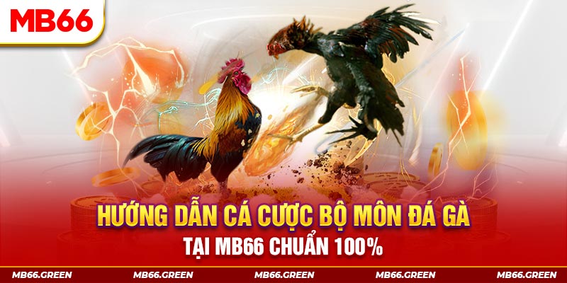 hot live xổ số bình định