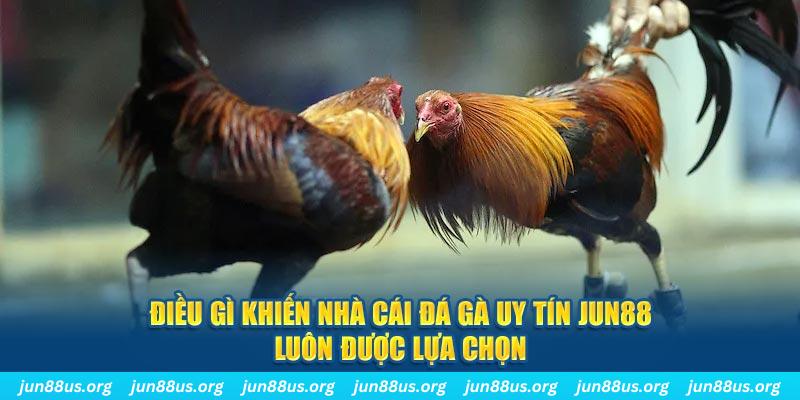 hot live qq88 nổ hũ bắn cá