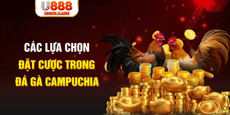 hot live SW Xổ Số