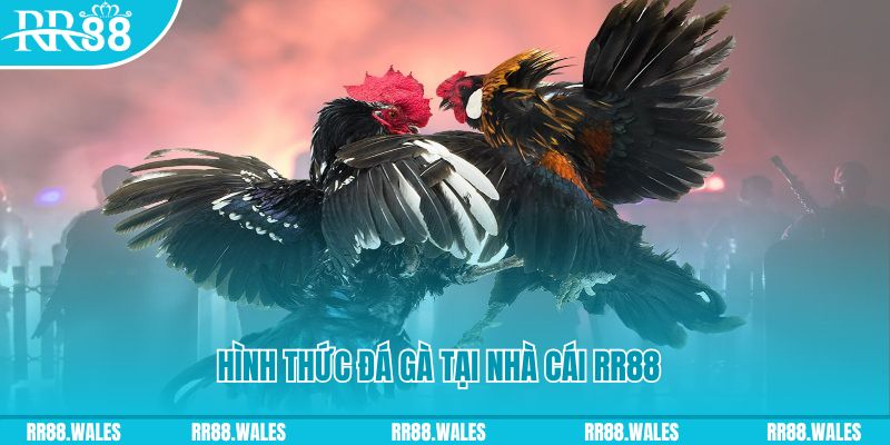hot live xin 1 slot là gì