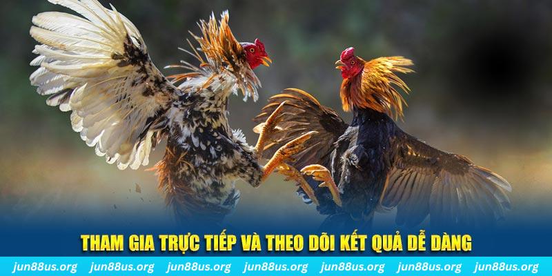 hot live đá gà trực tiếp bình luận viên
