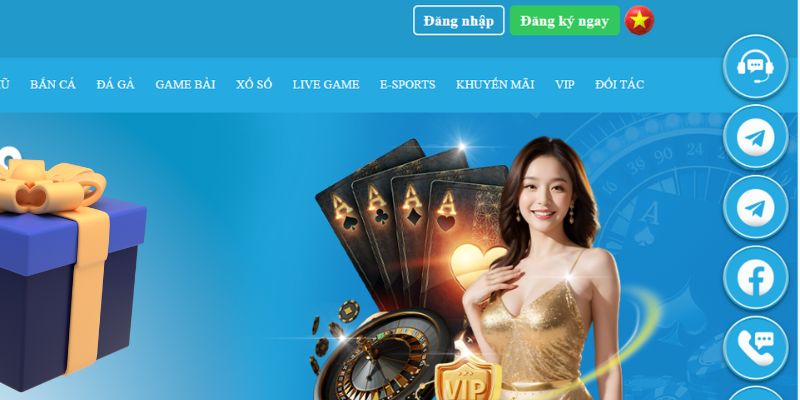 hot live slot là gì dịch