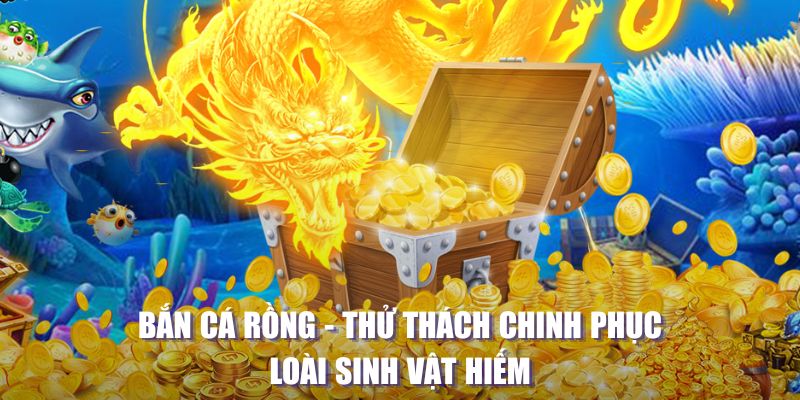 hot live MW Điện Tử