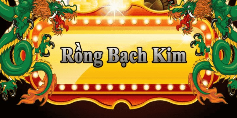 hot live đăng nhập roulette 2025