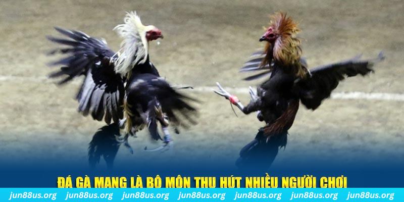 hot live xổ số cà mau