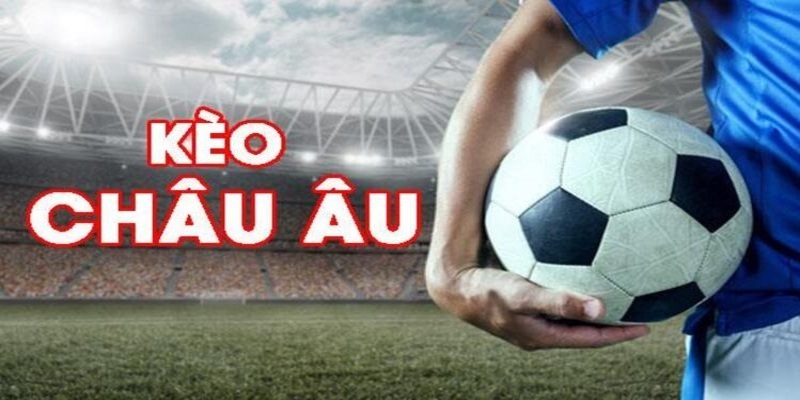 hot live đá gà trực tiếp casino
