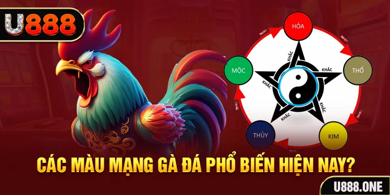 hot live đăng nhập mậu binh