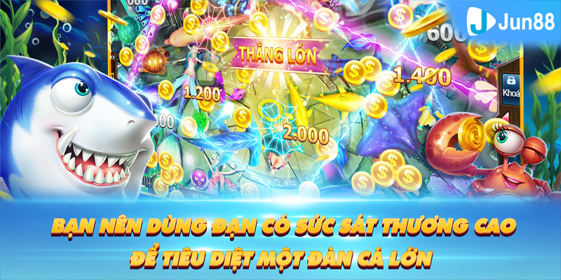 hot live Tung Đồng Xu