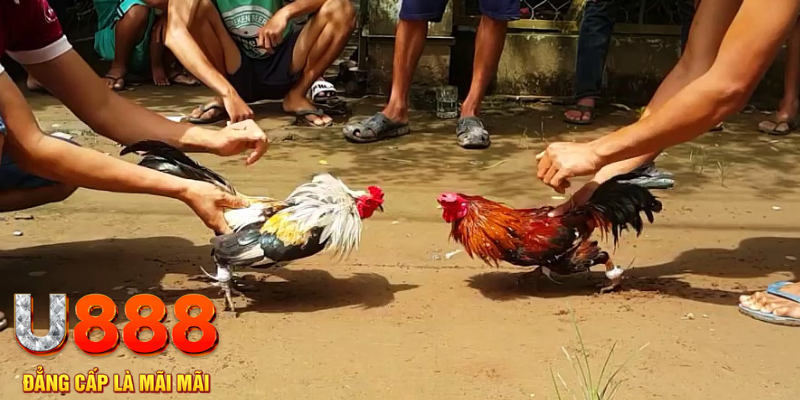 hot live đăng nhập mậu binh rút tiền nhanh