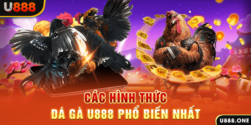 hot live DB Trực Tuyến