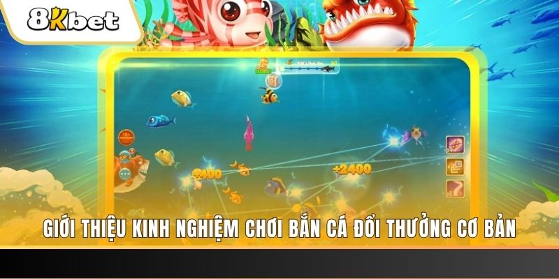hot live xổ số miền bắc thứ năm hàng tuần