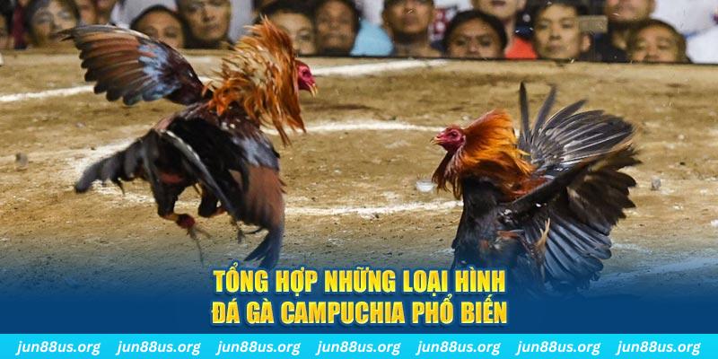 hot live ON Trực Tuyến