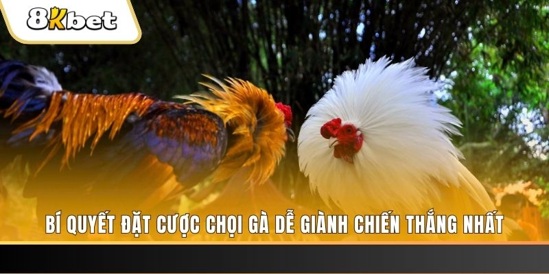 hot live Tài Xỉu 2