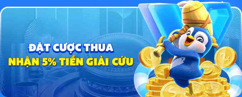 hot live gà chọi cu cần