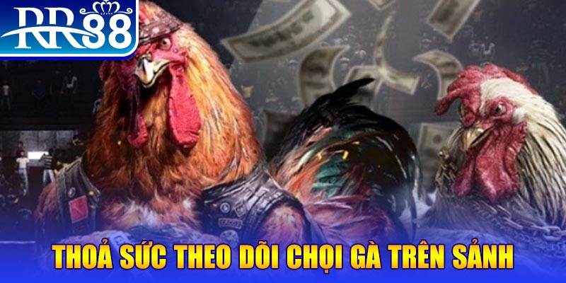 hot live đá gà 88.com