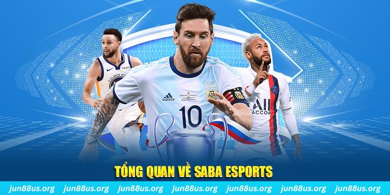 hot live gà chọi c1 tv trực tiếp hôm nay