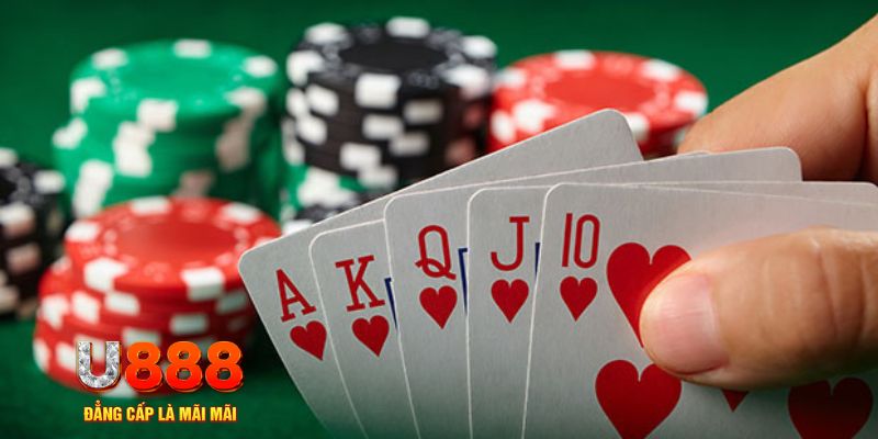hot live trực tiếp đá gà